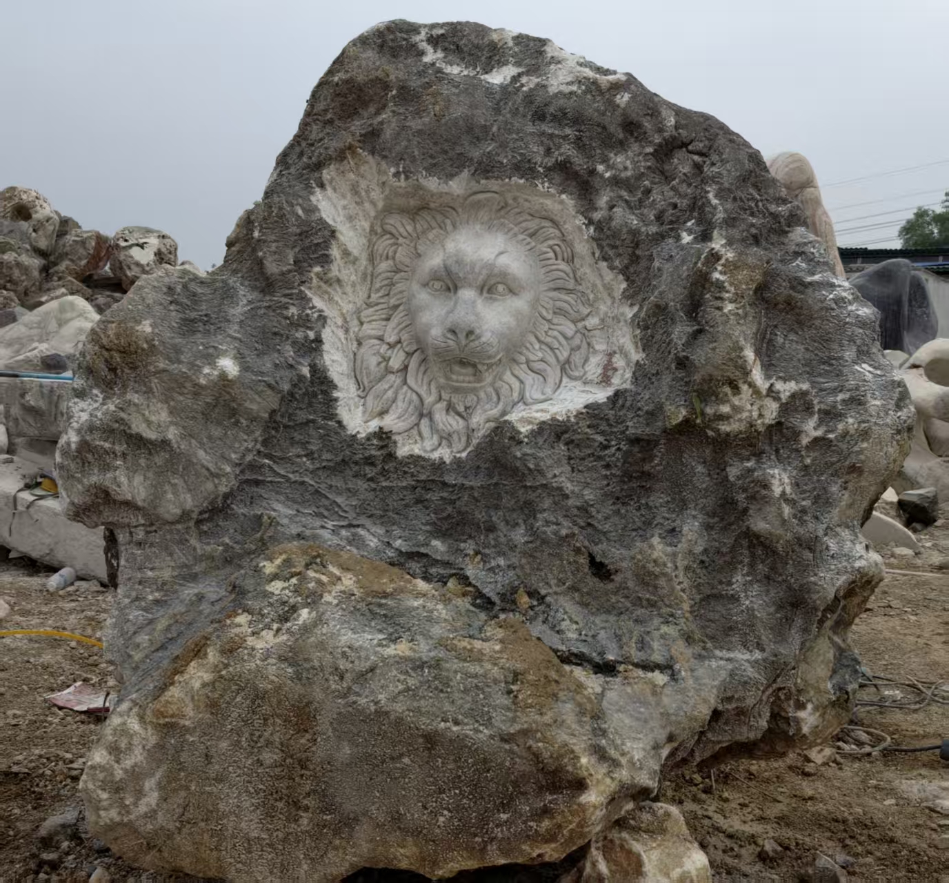 Textured stone with a circular detail