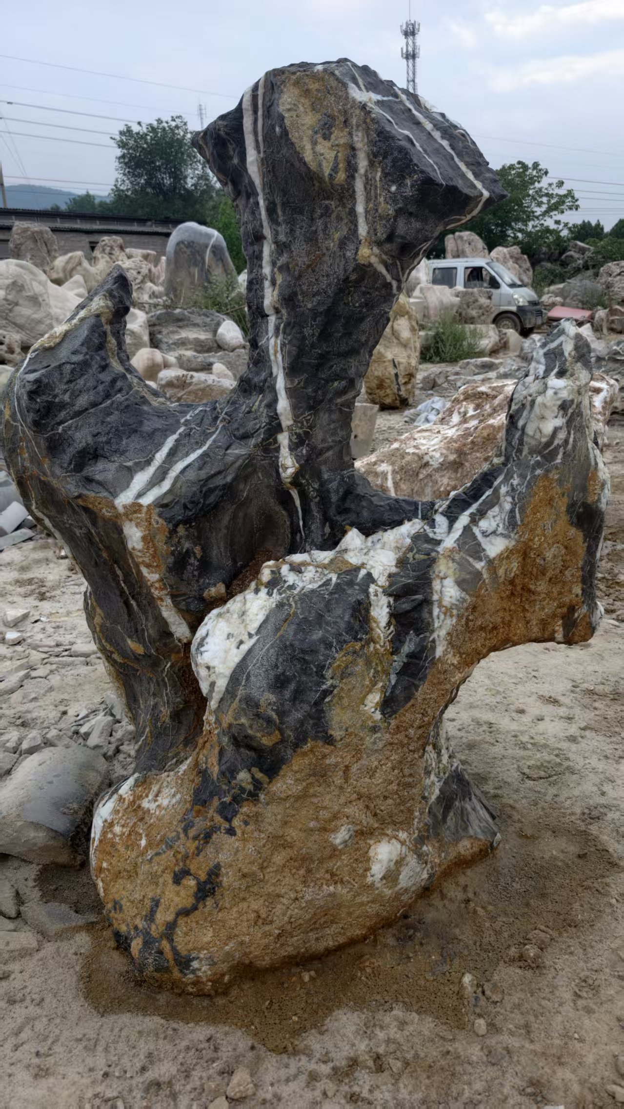 Dark veined standing stone
