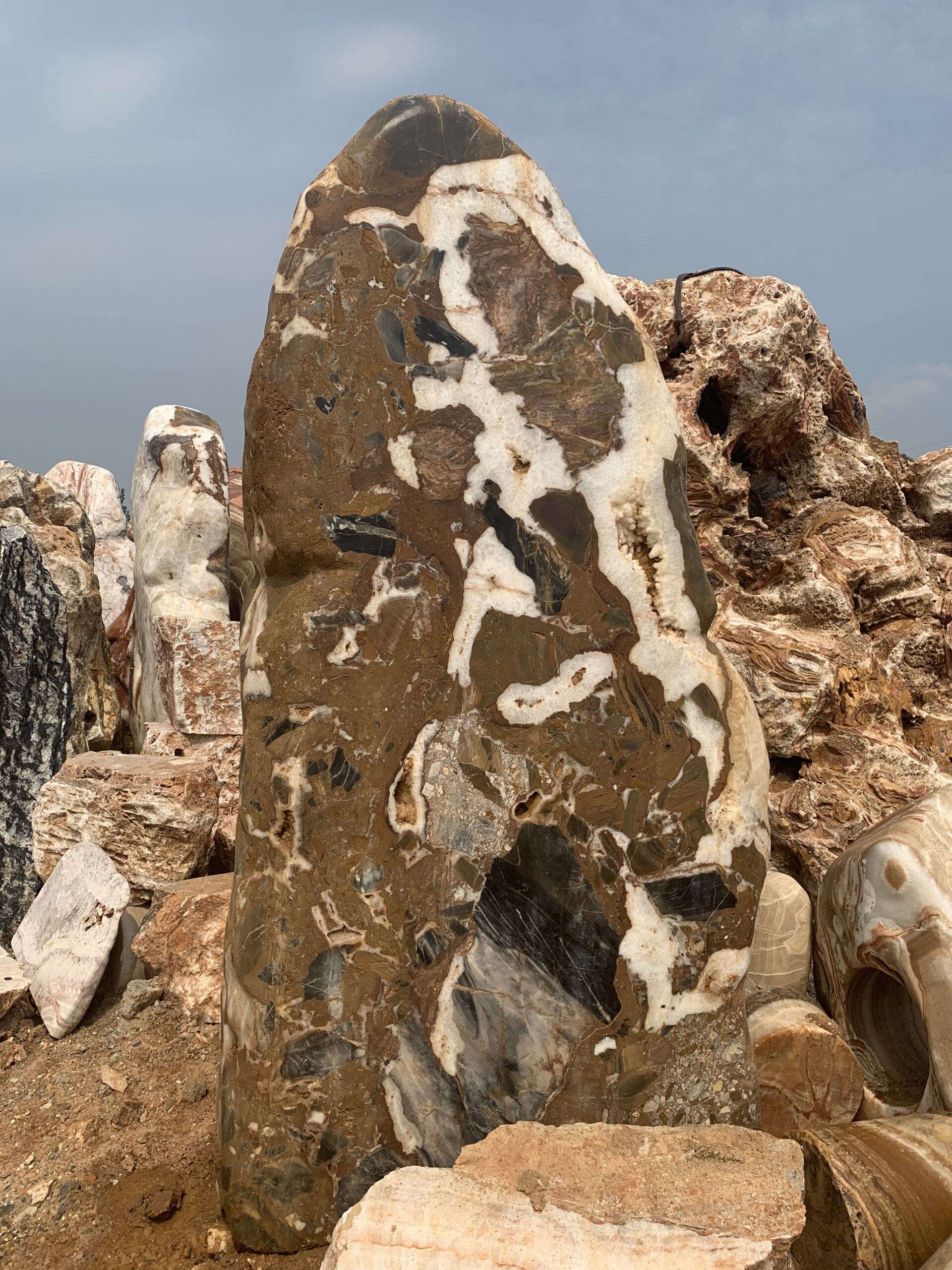 Standing stone with contrasting markings